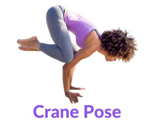 Crane Pose